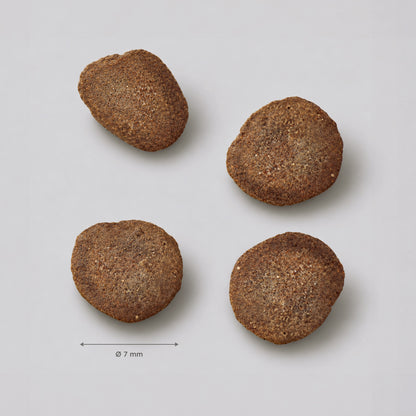 Hypoallergenic - Fresh insect - para gatos