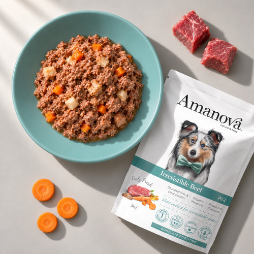P02 Adult Dog