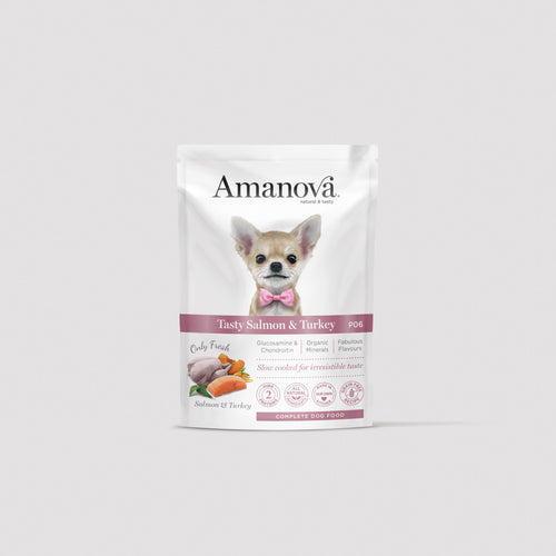 P06 Adult Dog