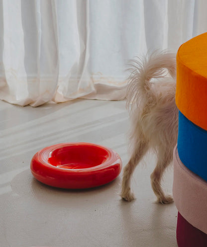 Ceramic Bowl