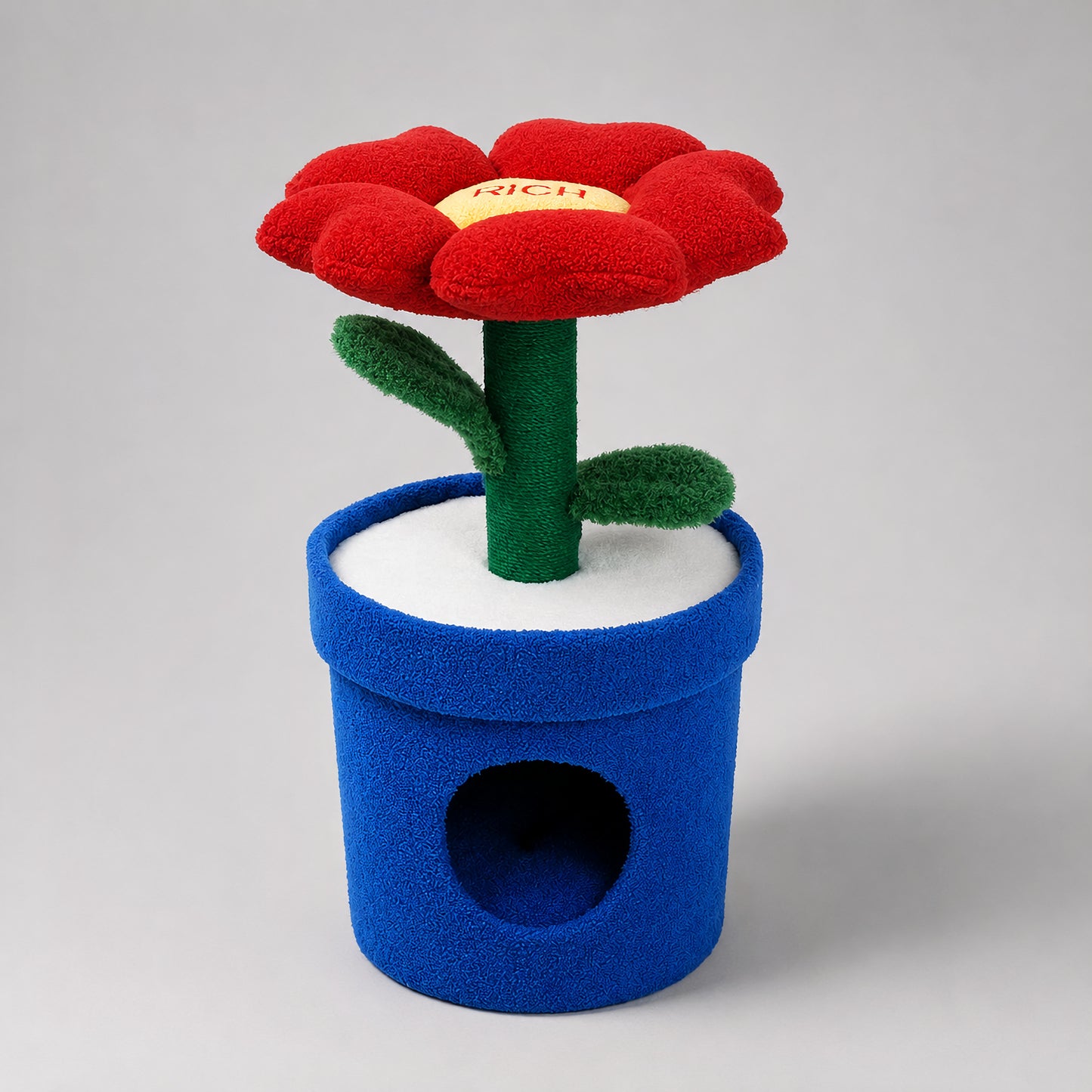 Rich Pot flower