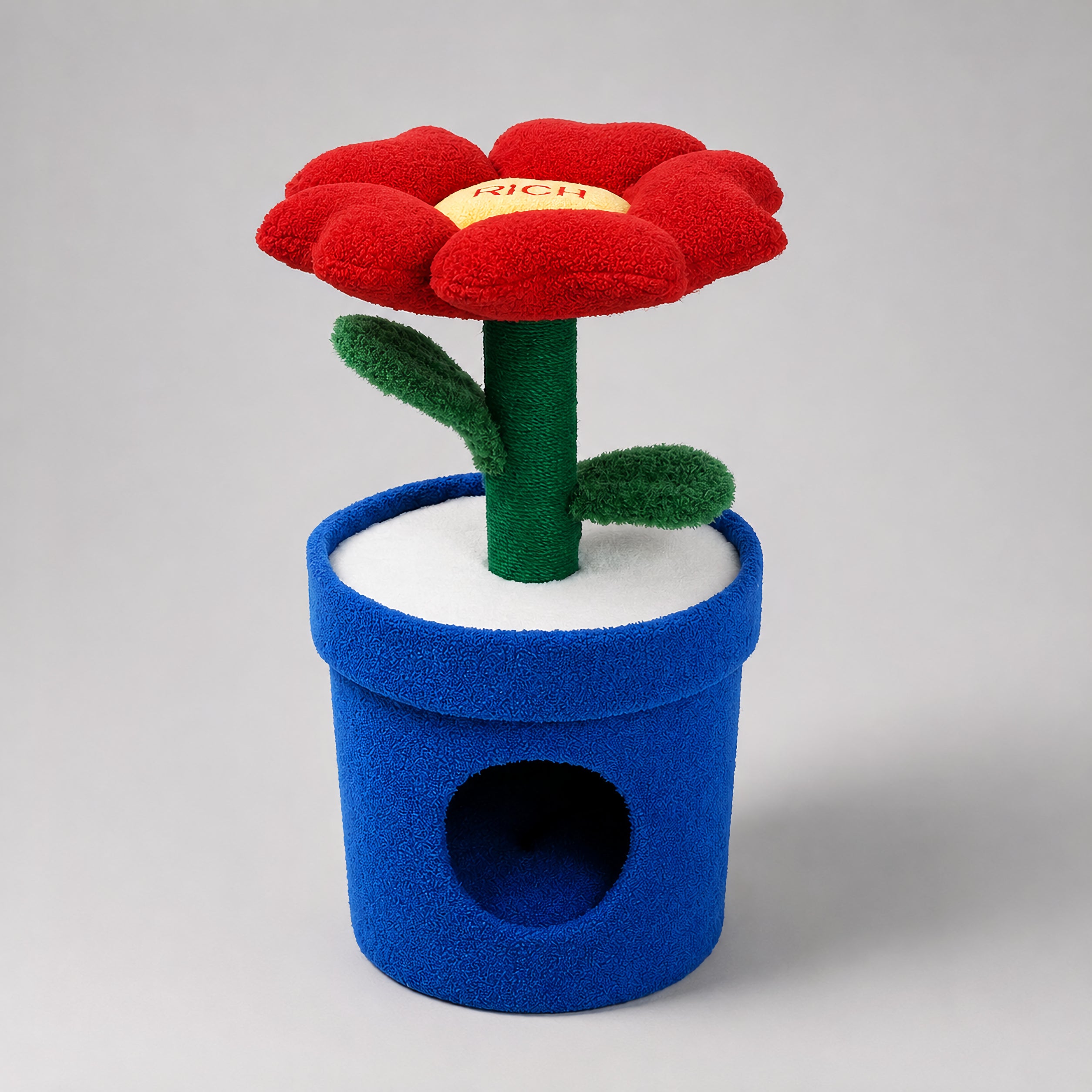 Rich Pot flower