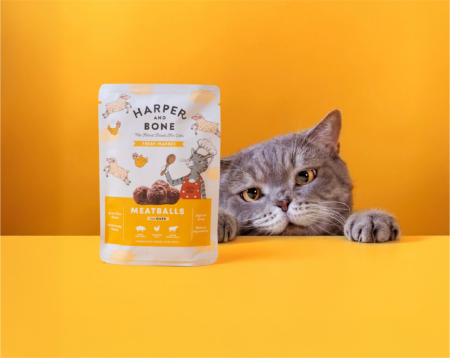 Albóndigas para gatos