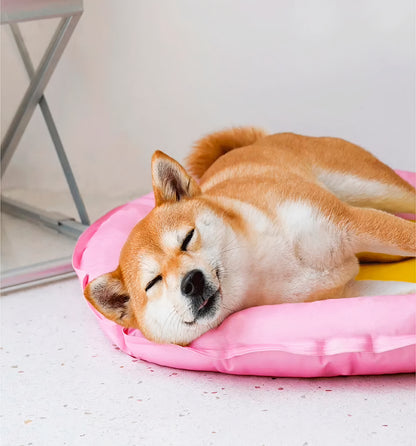 Lemon cooling