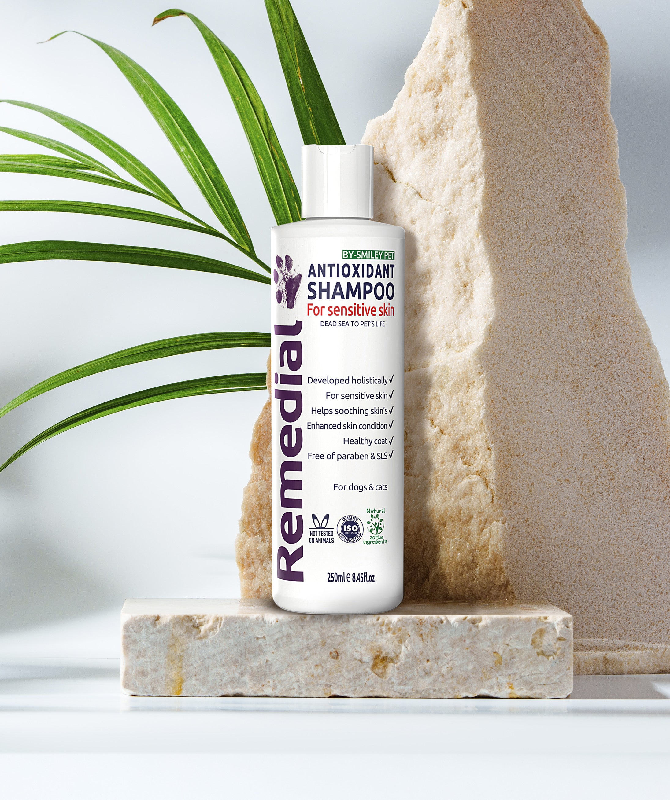 Antioxidant Shampoo