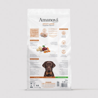 Adult large - Exquisite chicken