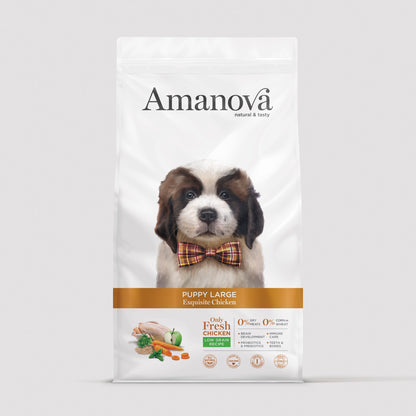 Puppy Large - Exquisite chicken