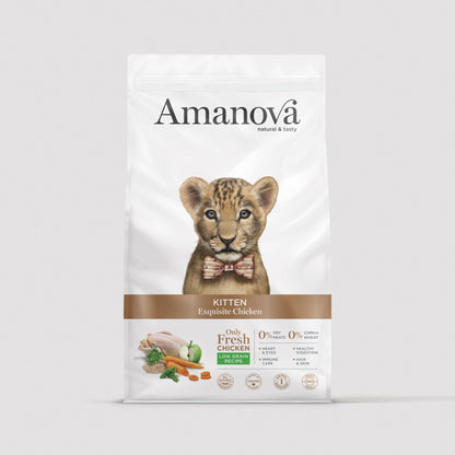 Kitten - Exquisite Chicken