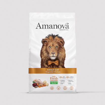 Adult Cat - Exquisite chicken