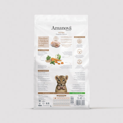 Kitten - Exquisite Chicken