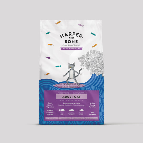 Adult Cat - Ocean Wonders