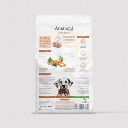 Puppy medium - Exquisite Chicken