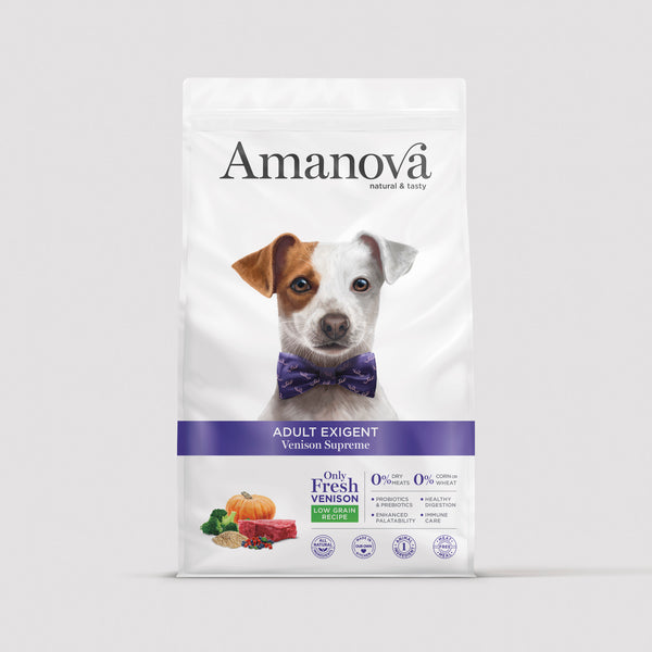Grain Free Iberian Pork food for adult dogs | Amanova – Onlyfresh.com