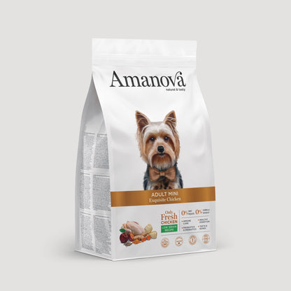 Adult mini - Exquisite chicken