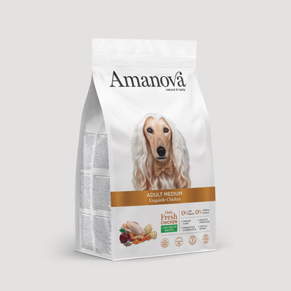 Adult medium - Exquisite chicken