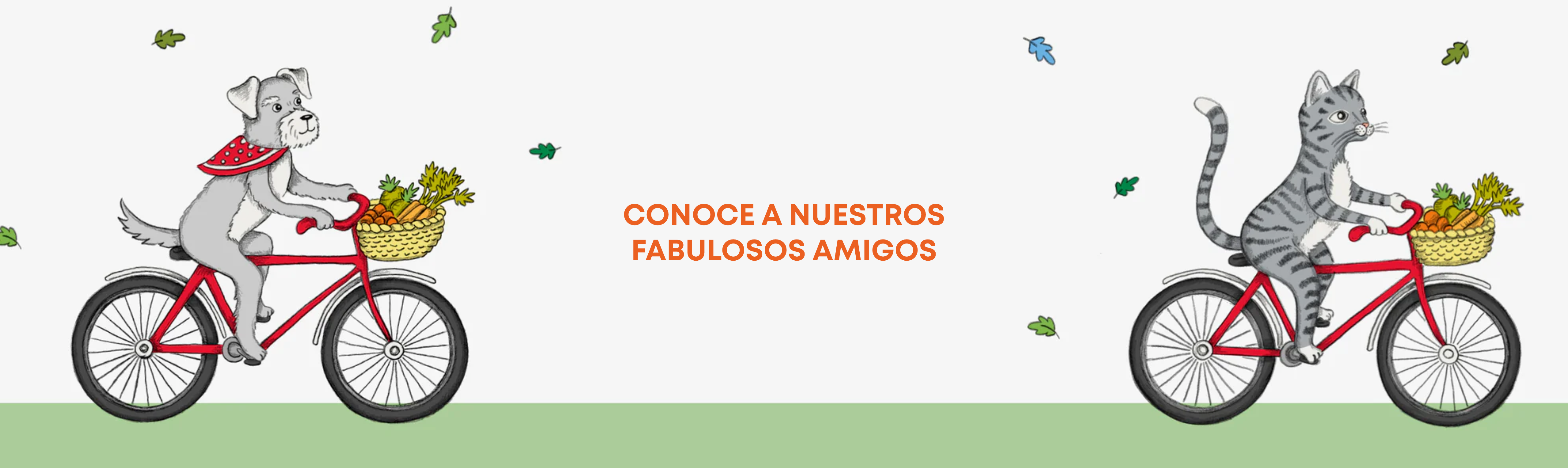 image-banner