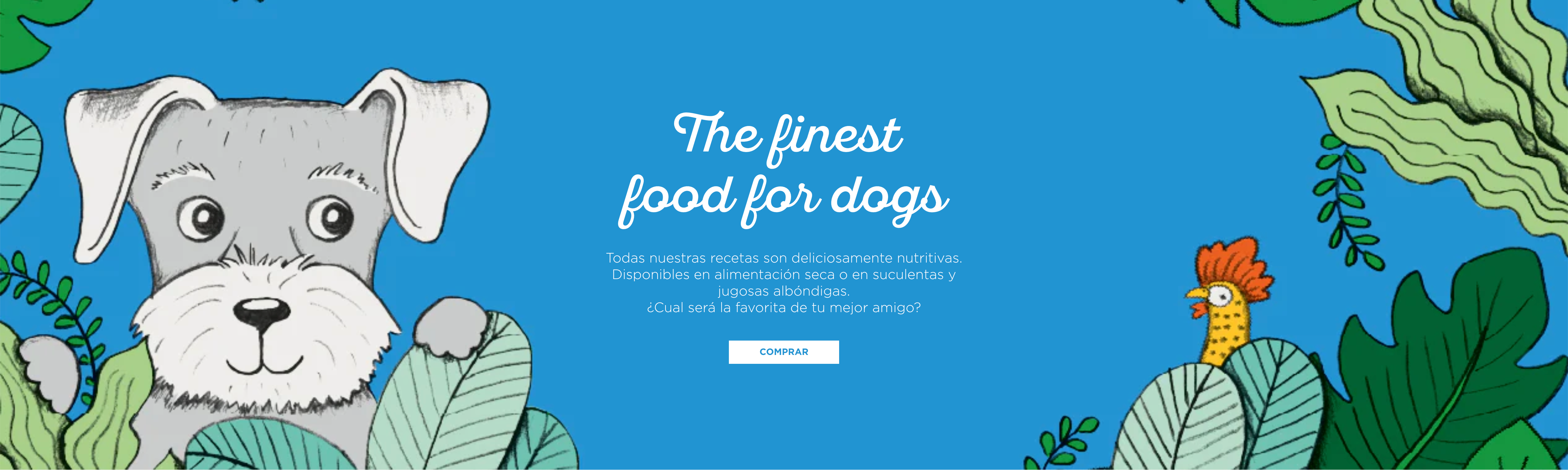 image-banner