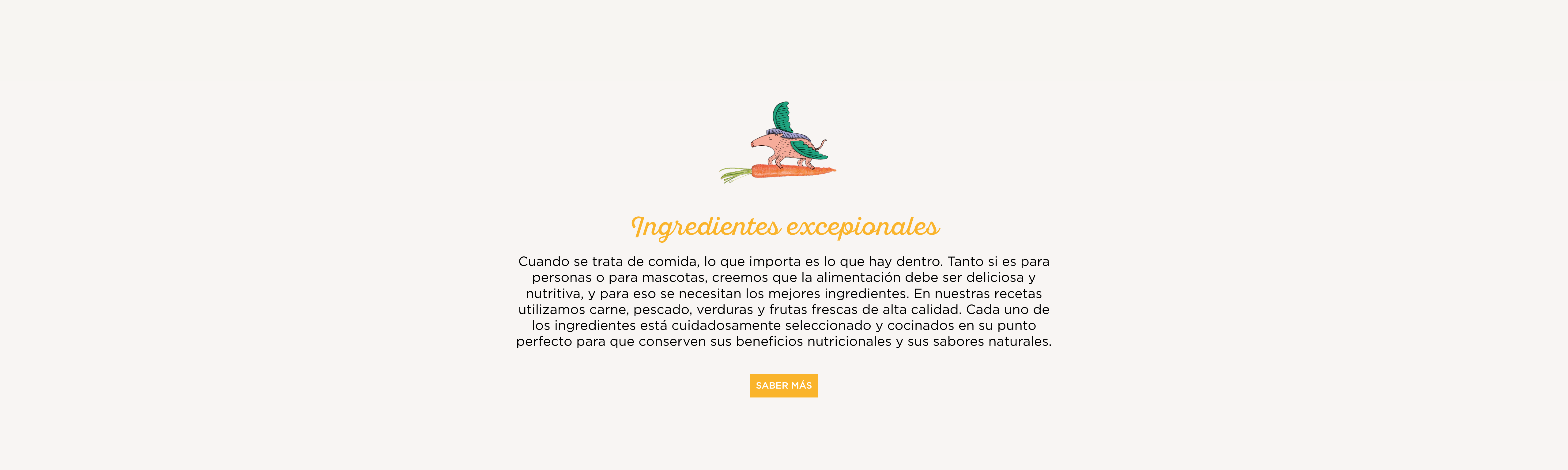 image-banner
