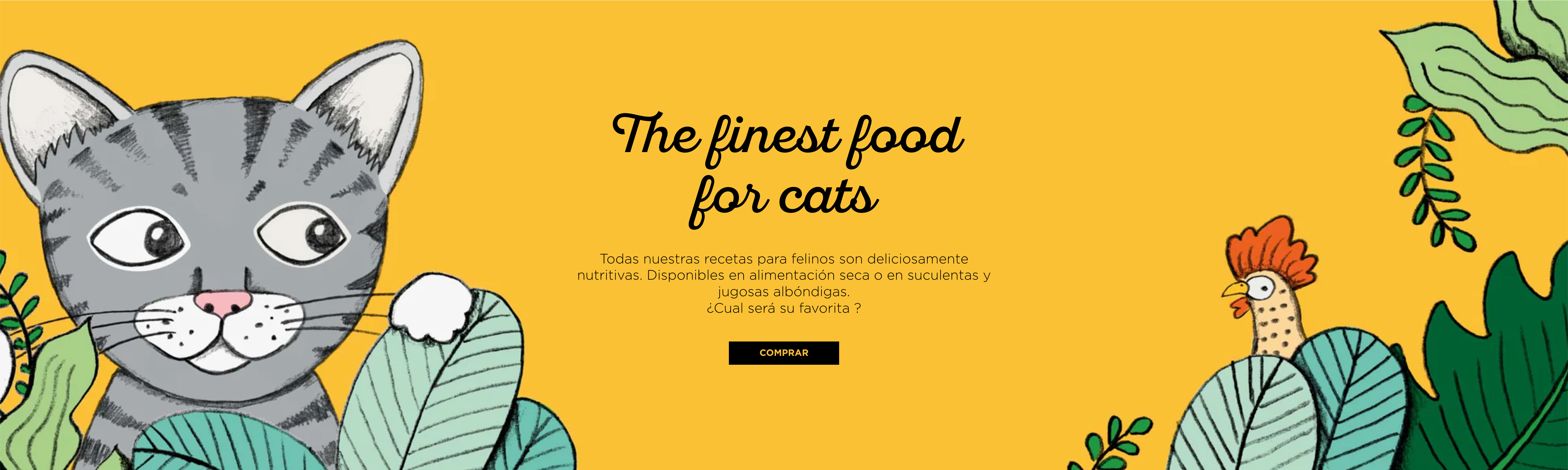 image-banner