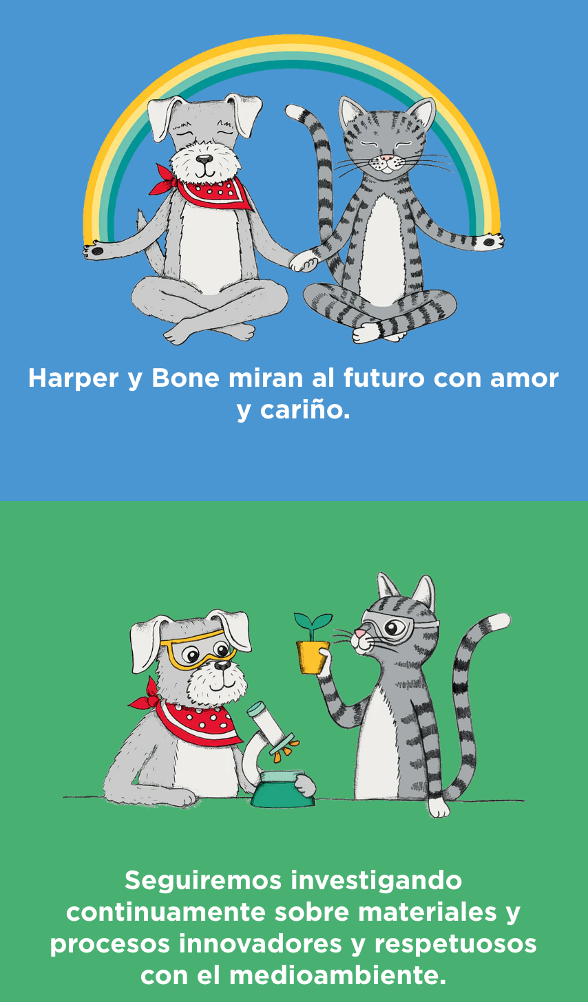 image-banner-mb