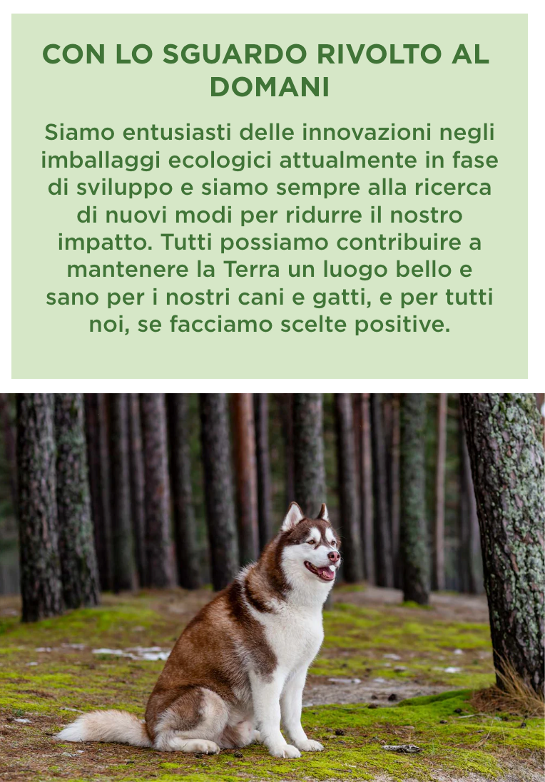image-banner-mb