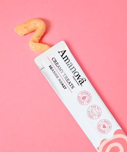 Creamy Treat - Seaside Roast