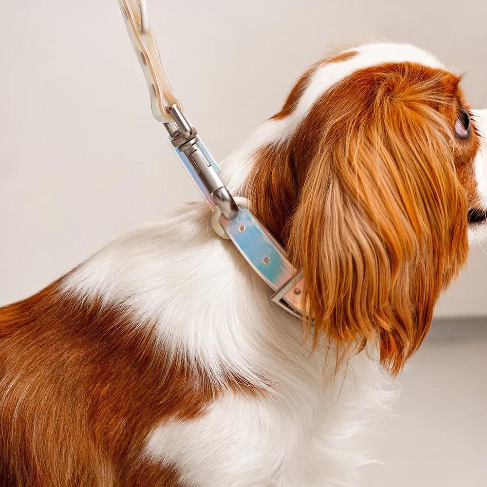 Smart Dog Collar - Lunar