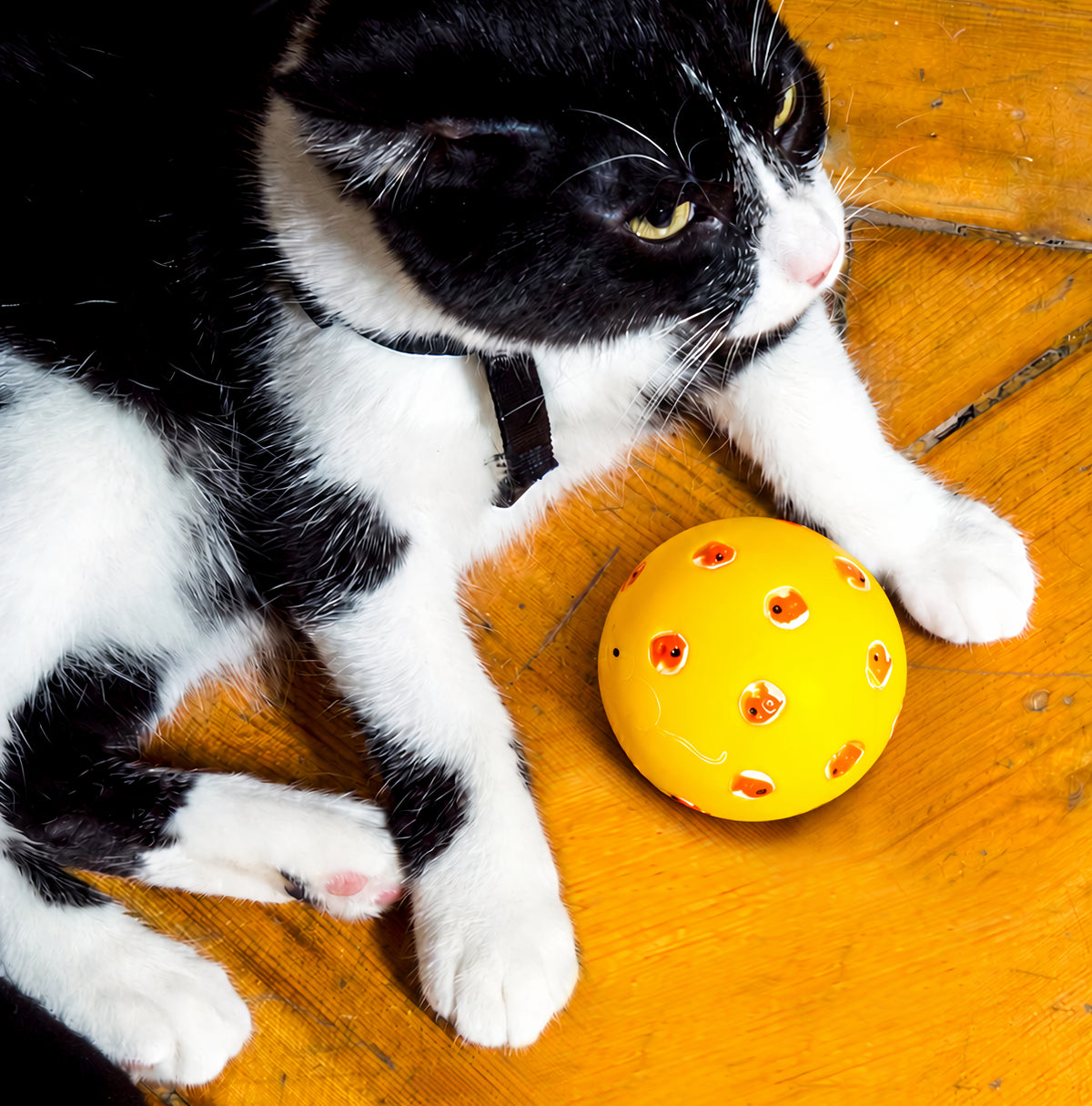 Snack ball