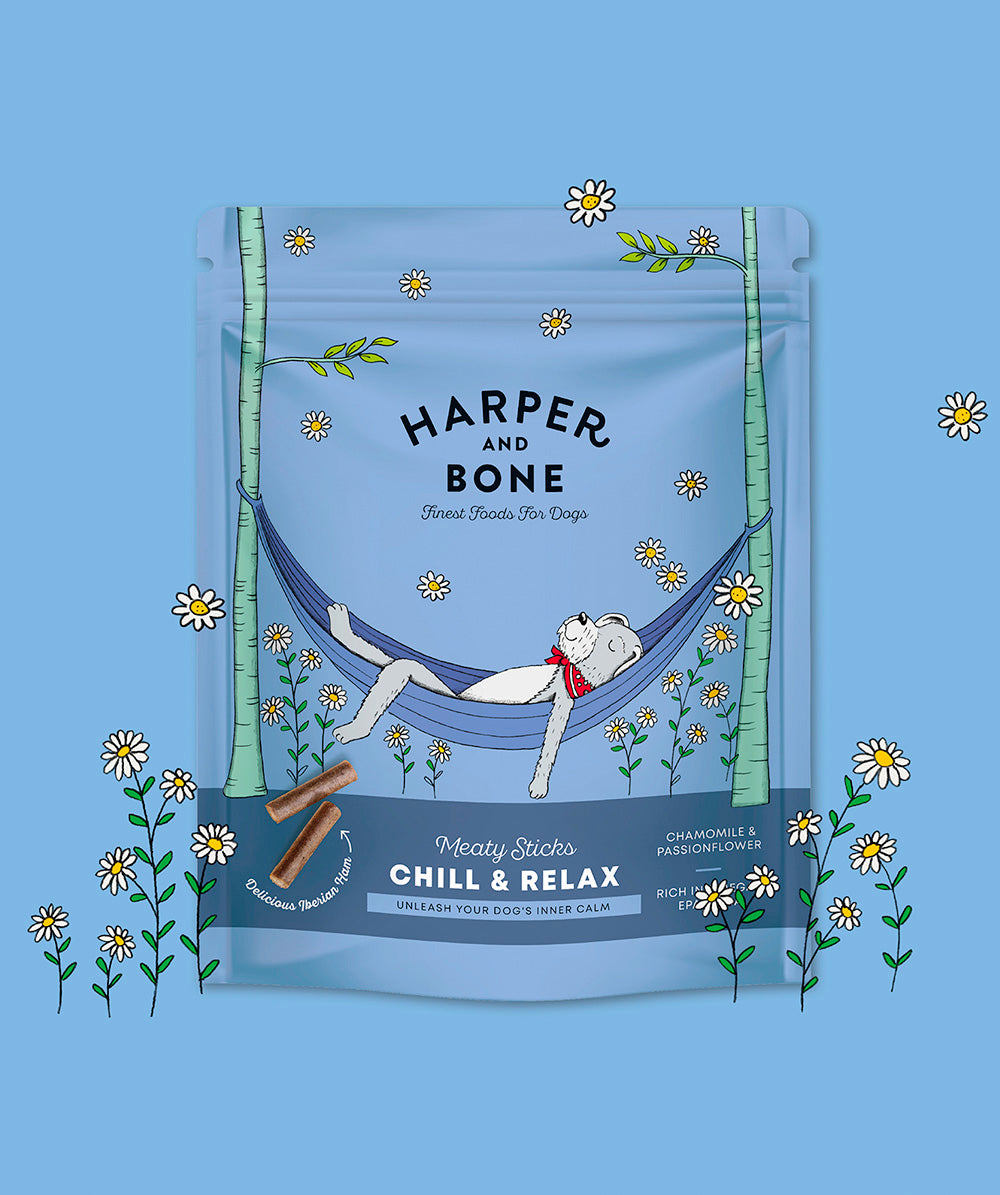 Chill & Relax