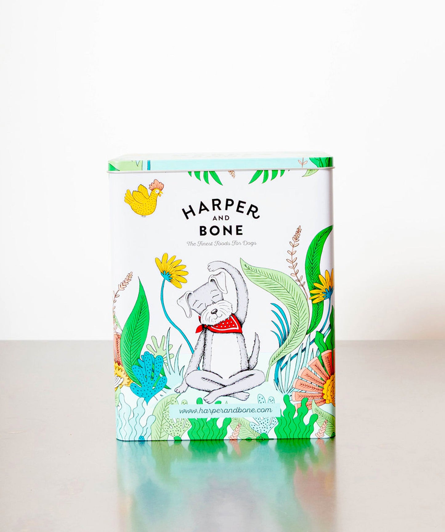 Caja metálica - Harper & Bone