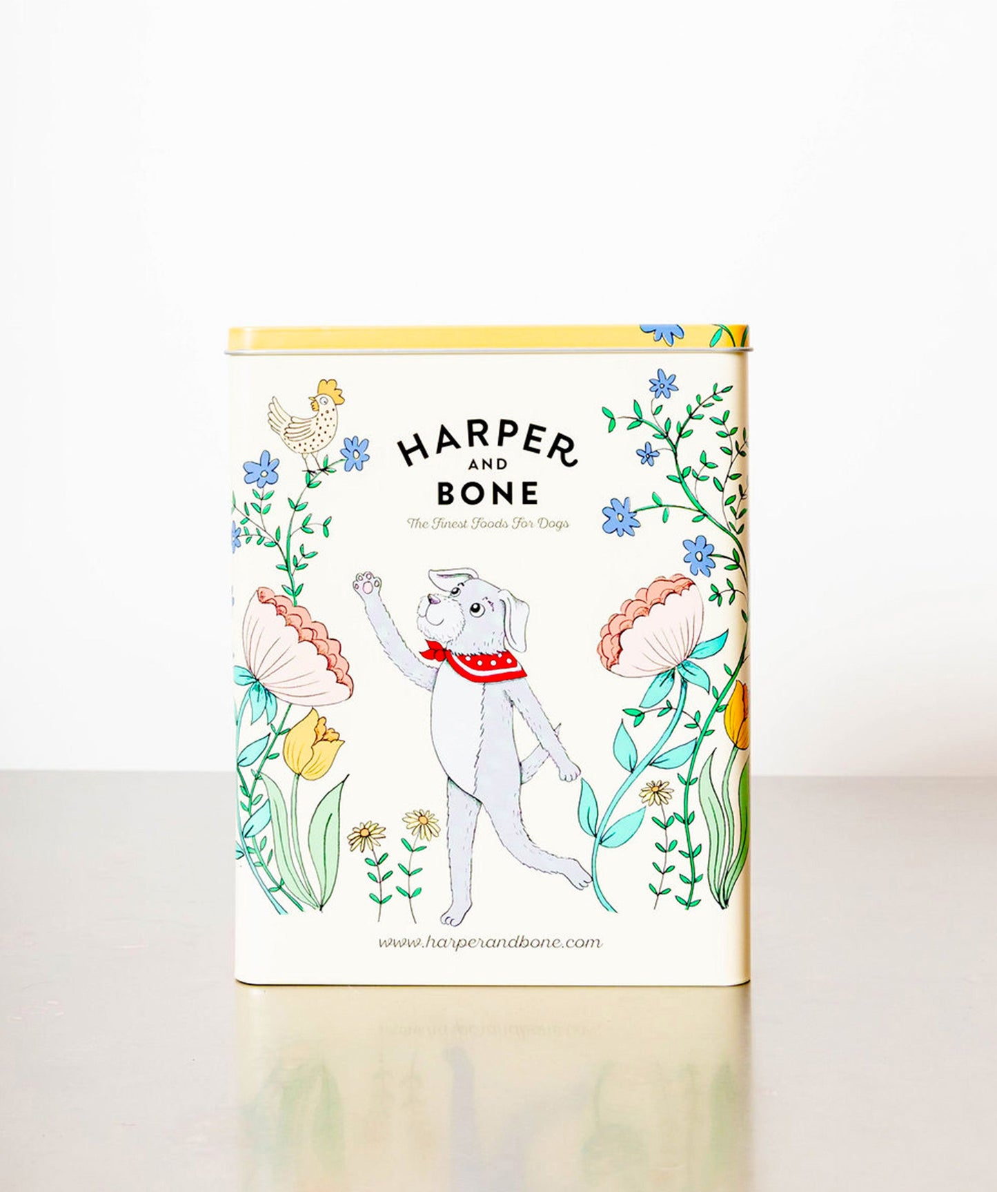 Caja metálica - Harper & Bone