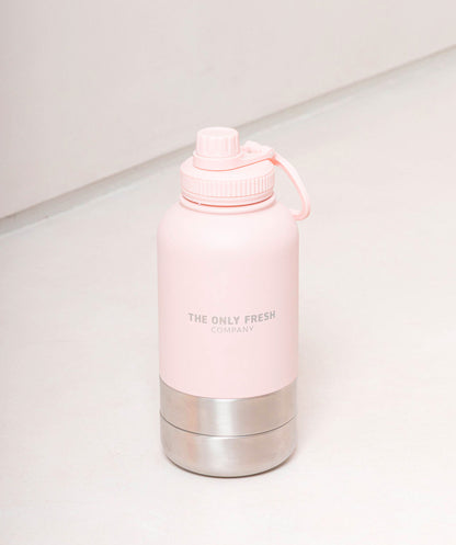 Portable water bottle