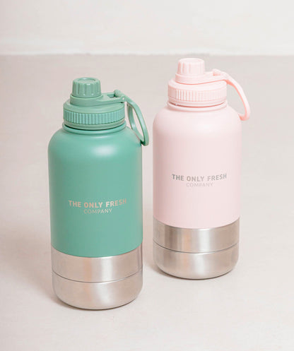 Portable water bottle
