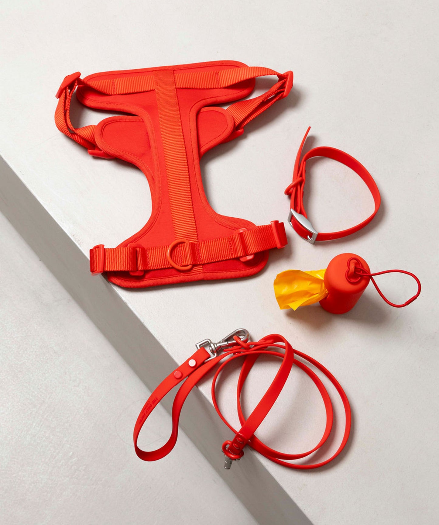Smart Dog Leash