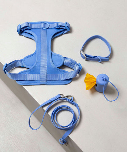 Smart Dog Leash