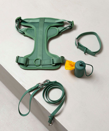 Smart Dog Leash