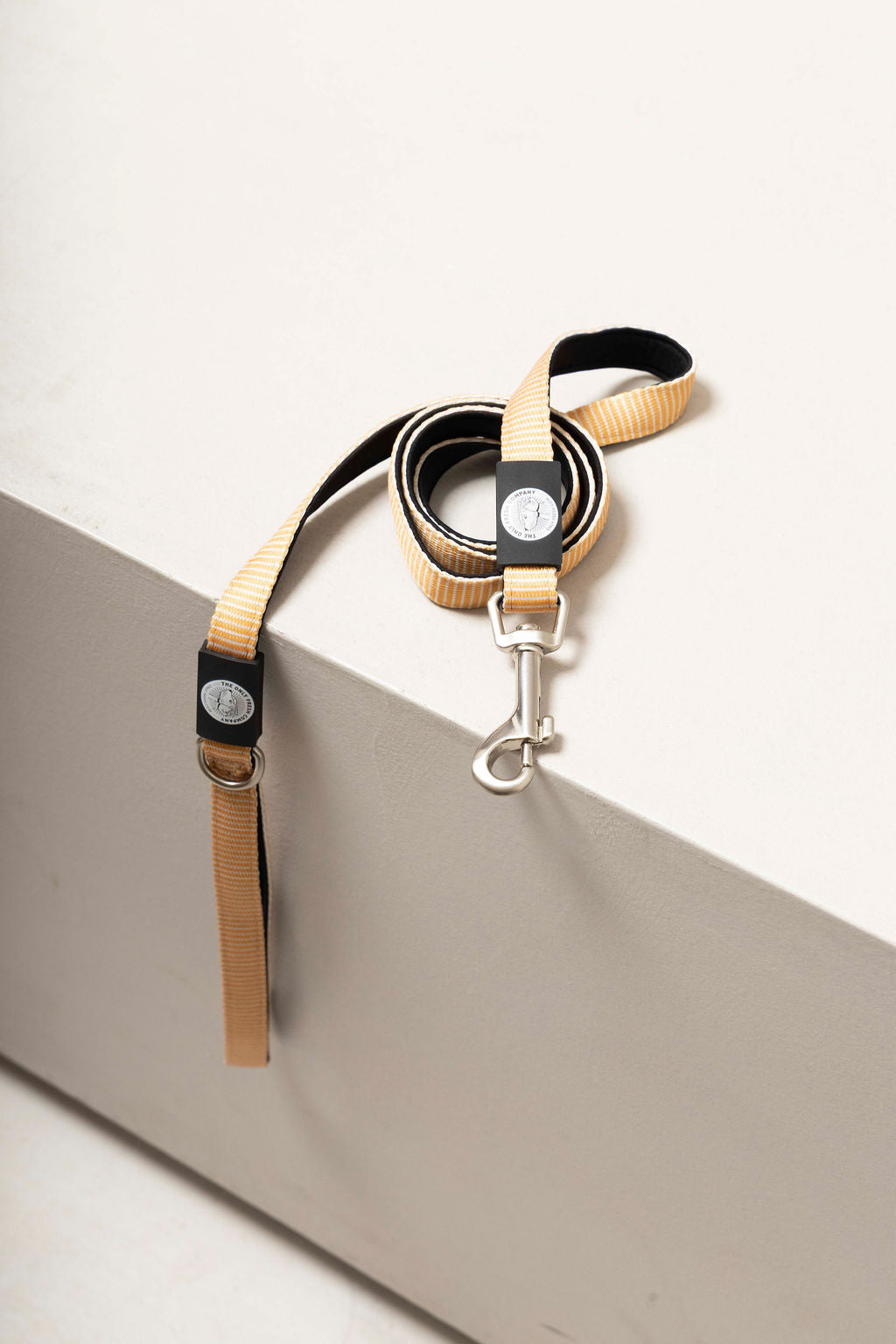 Dog Leash