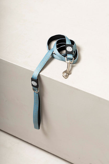 Dog Leash