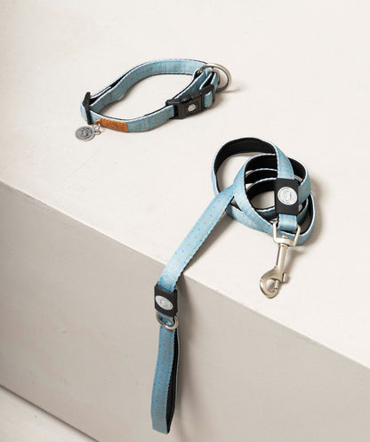 Collar para perros ajustable