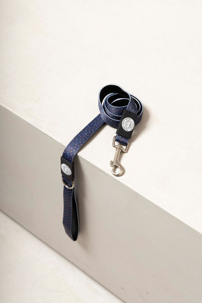 Dog Leash