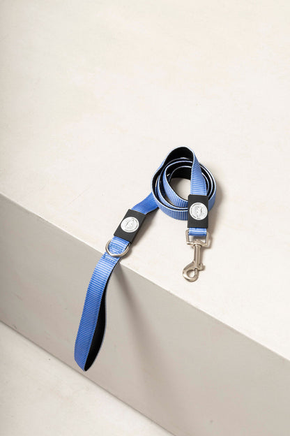Dog Leash