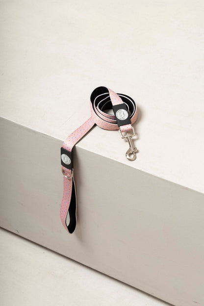 Dog Leash