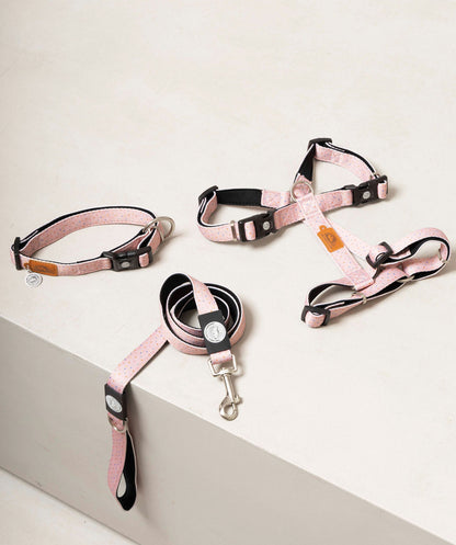 Collar para perros ajustable