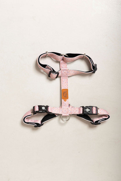 Dog Harness - Neoprene and Polyester