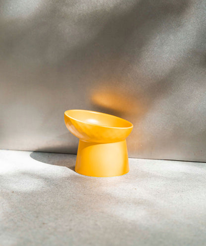 Glow Bowl