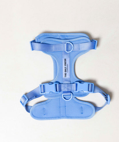 Smart Harness