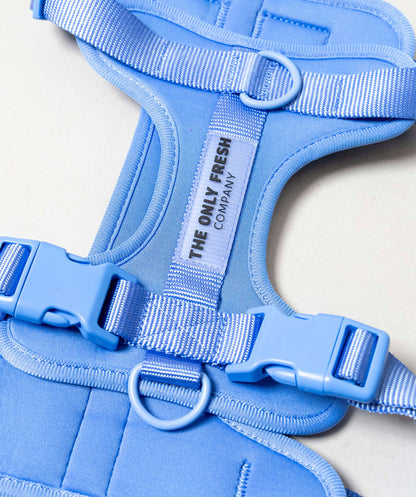 Smart Harness