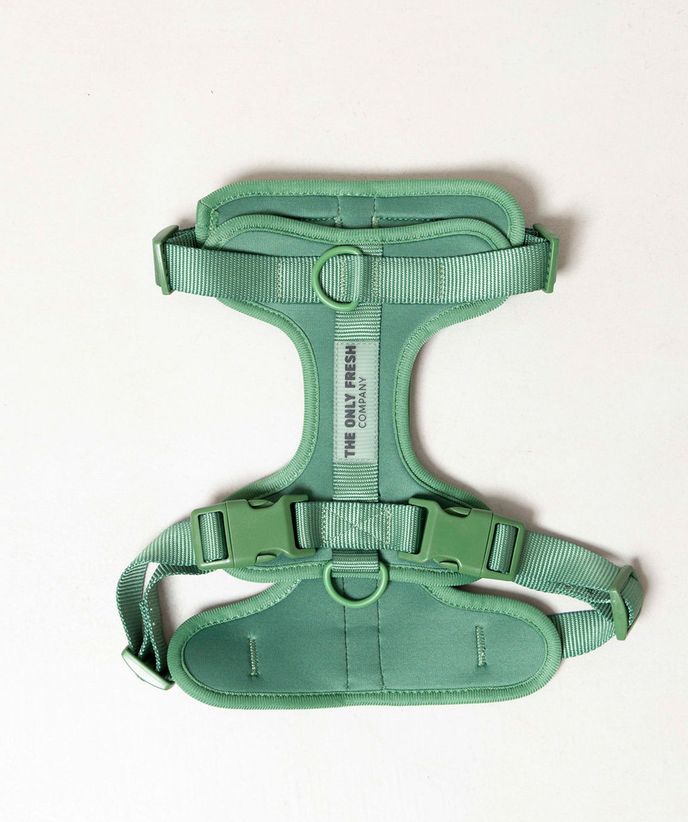 Smart Harness