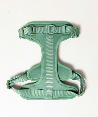 Smart Harness