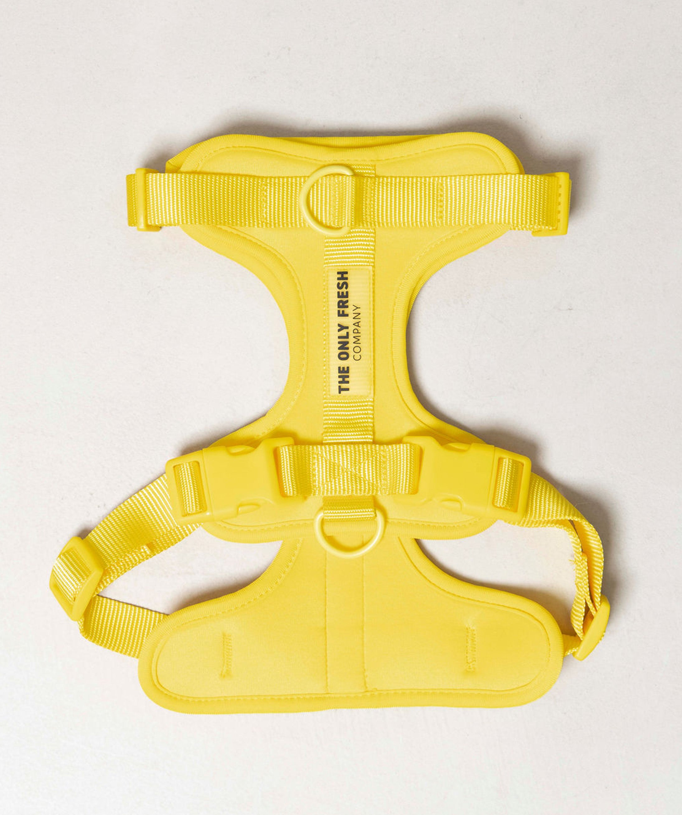Smart Harness